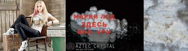 спиды Горняк