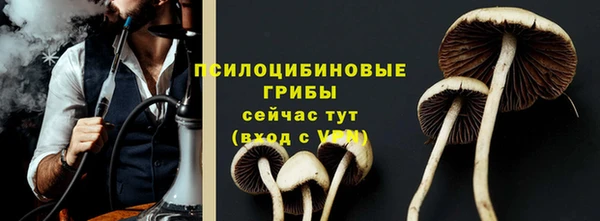 спиды Горняк