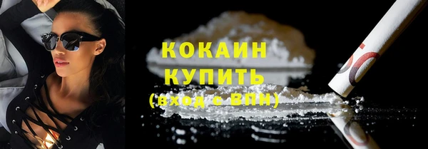 спиды Горняк