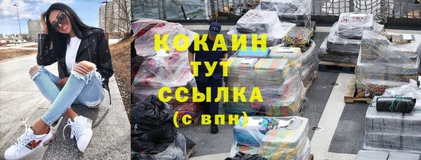 спиды Горняк