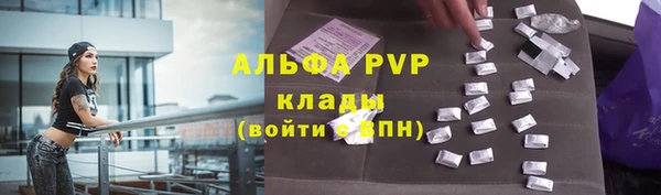 спиды Горняк
