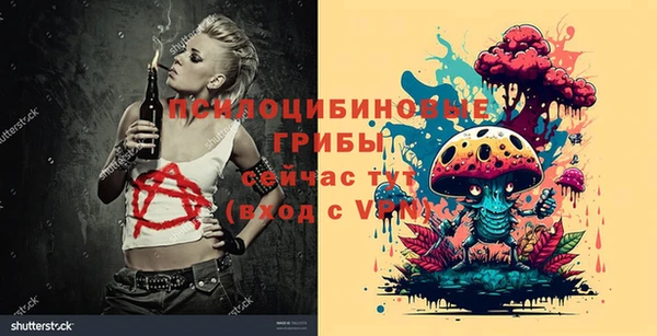 гашиш Горнозаводск