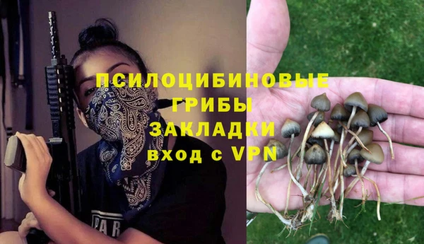 спиды Горняк