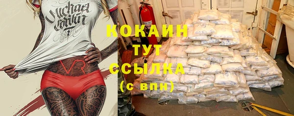 спиды Горняк