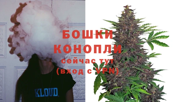 спиды Горняк