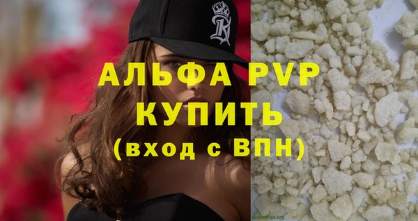 спиды Горняк