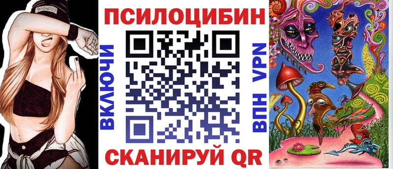 сколько стоит  Приморско-Ахтарск  Галлюциногенные грибы Psilocybe 